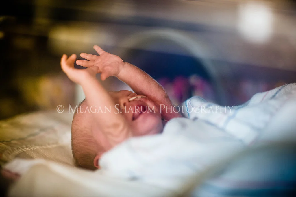 Rhode Island Photographer
