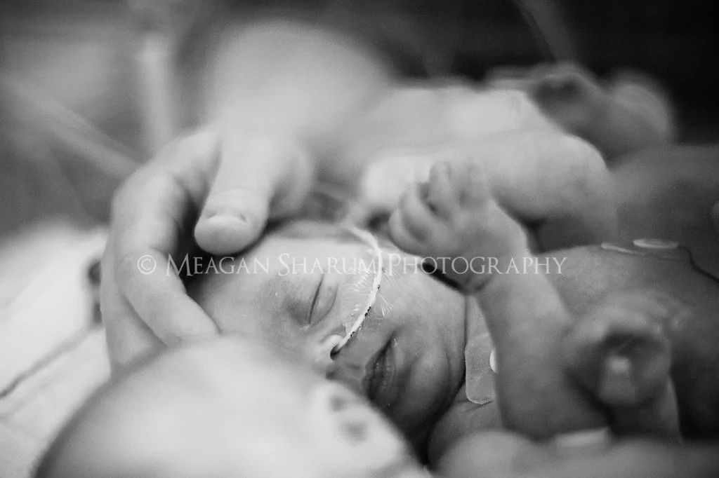 Rhode Island Photographer