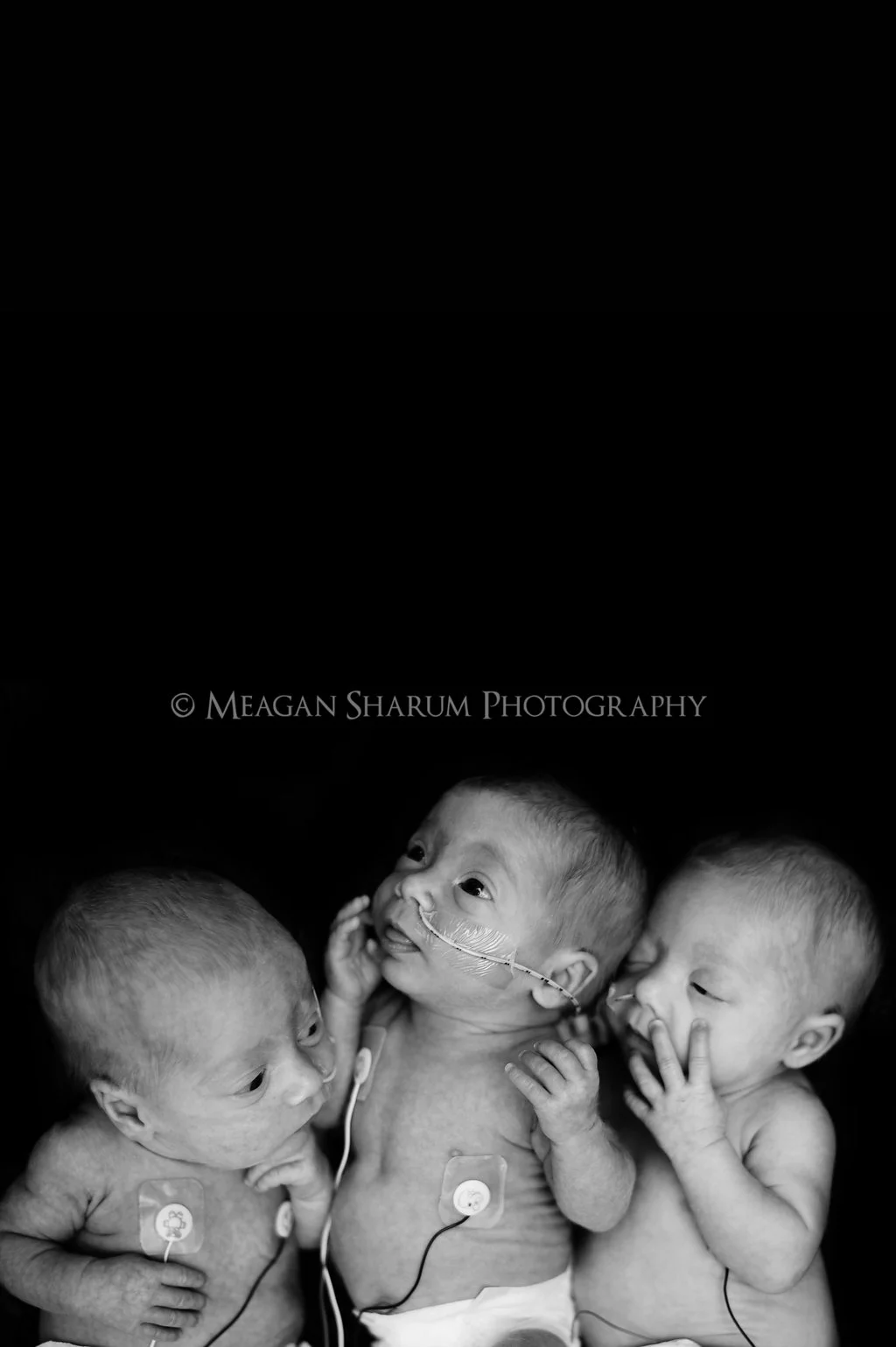 Rhode Island Photographer