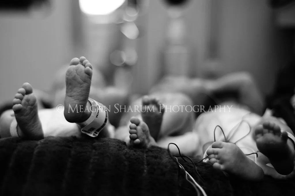 Rhode Island Photographer