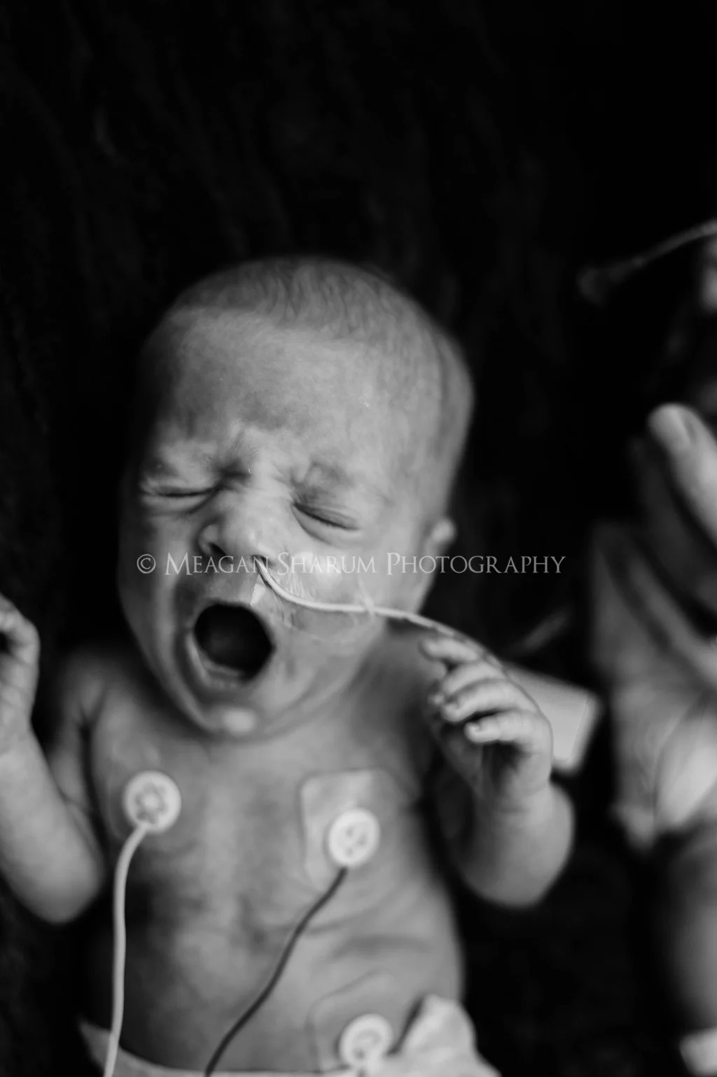 Rhode Island Photographer