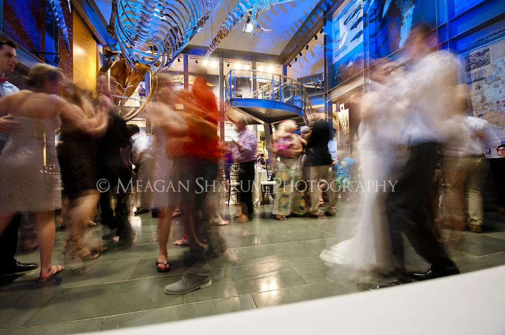 Rhode Island Photographer