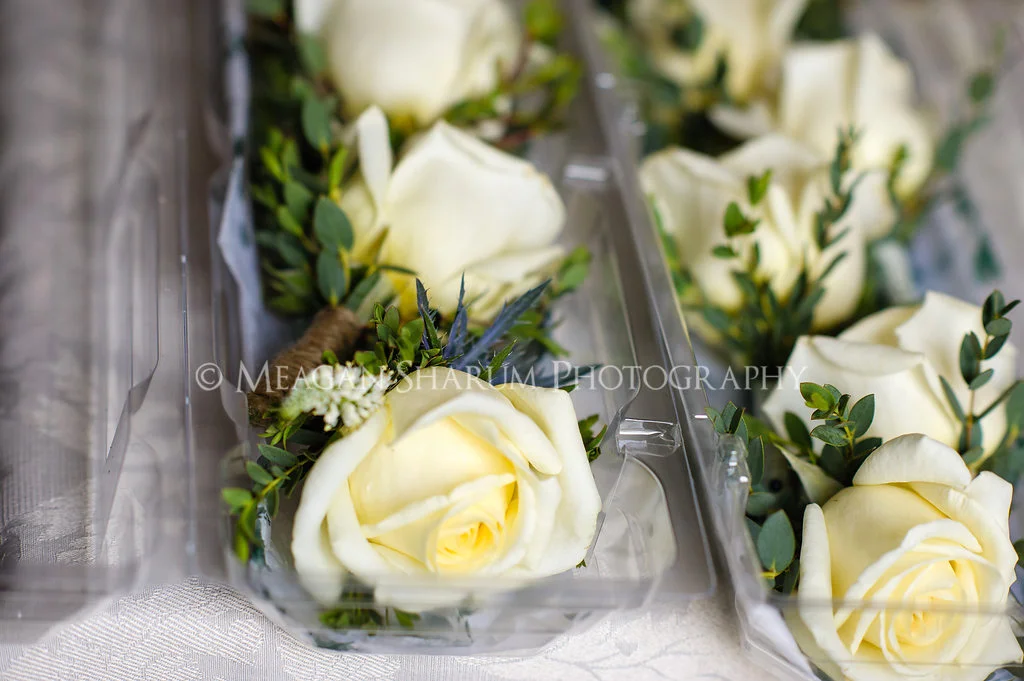 Rhode Island Photographer