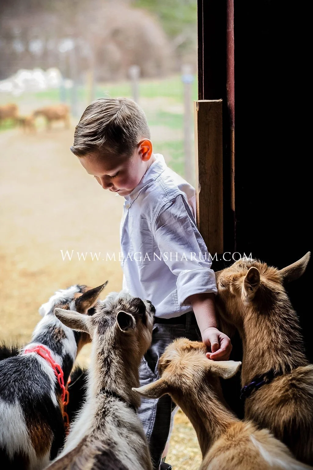 EasterFarm-5.JPG