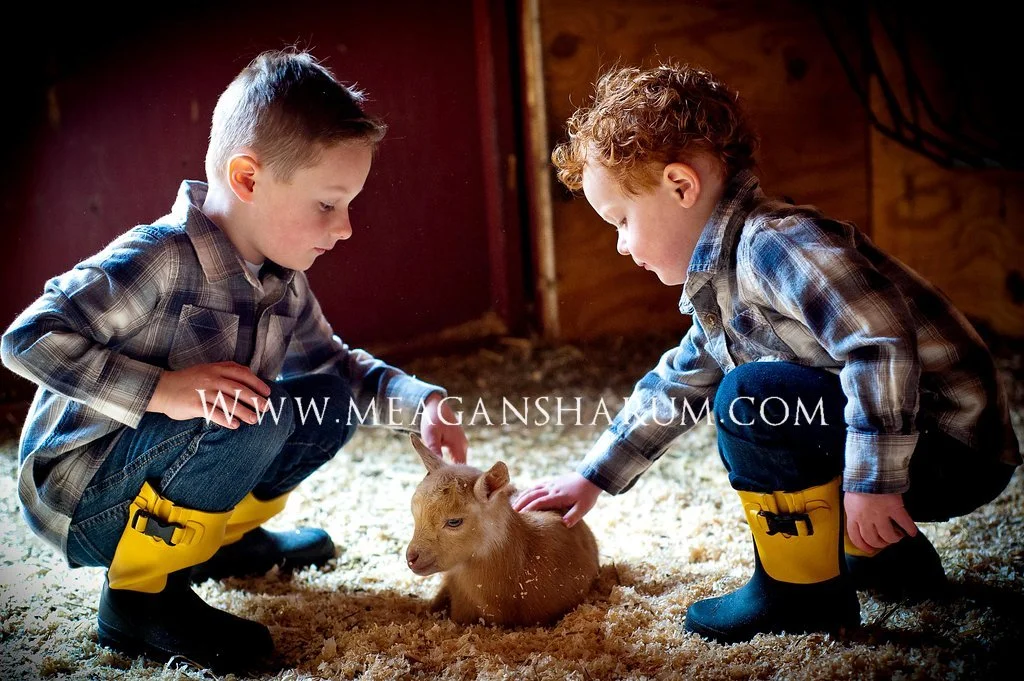 CookBoysFarm.JPG