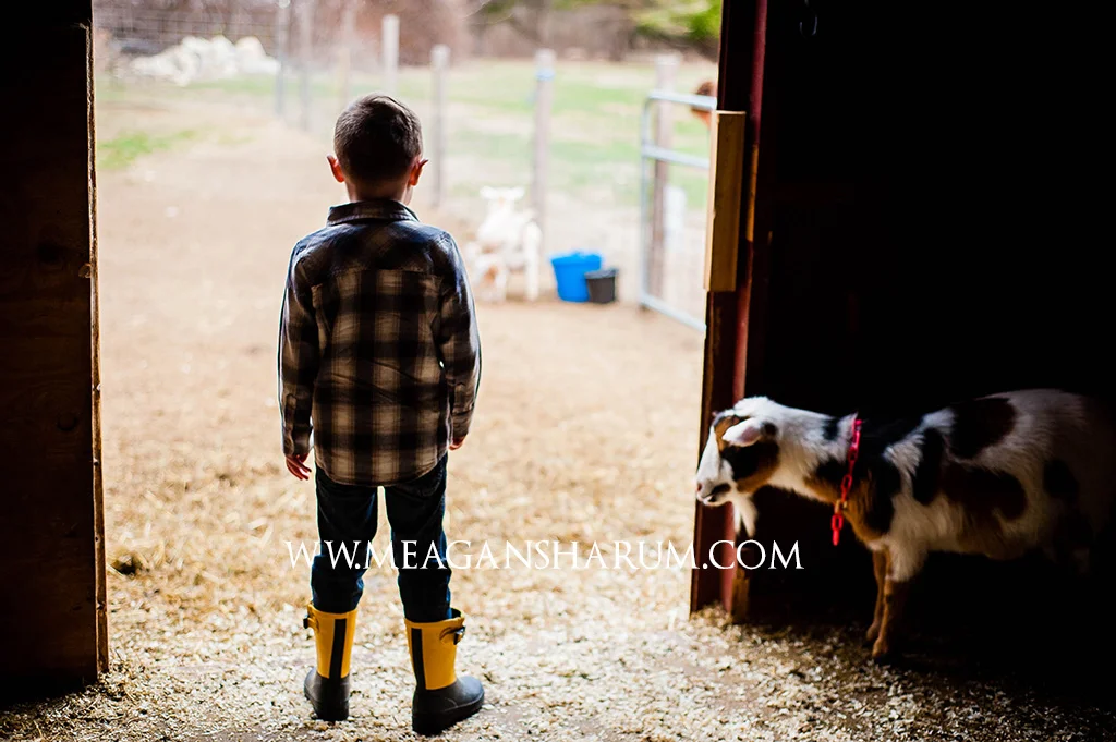 FarmPhotos-6.jpg