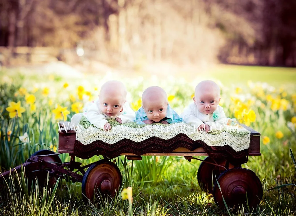 Wante3month-0.jpg