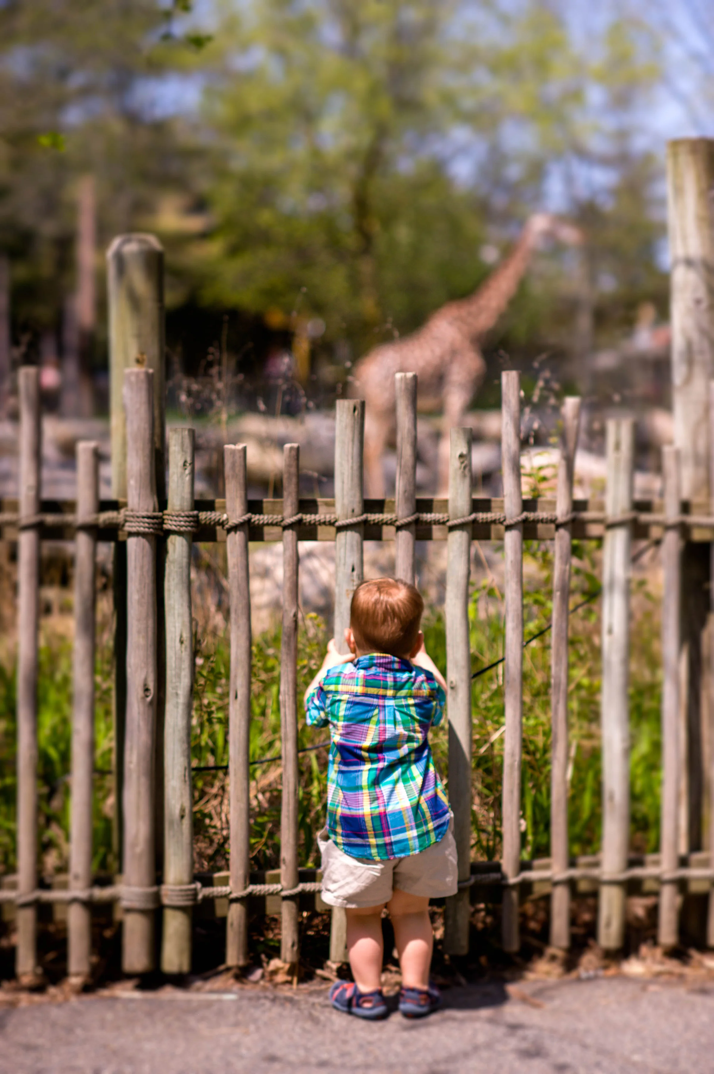 WithwmomatZoo-2.JPG