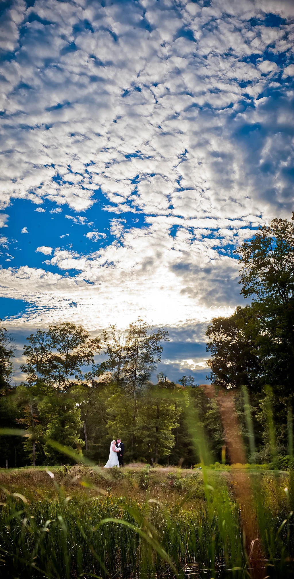 Mark&JessicaWedding-374.jpg