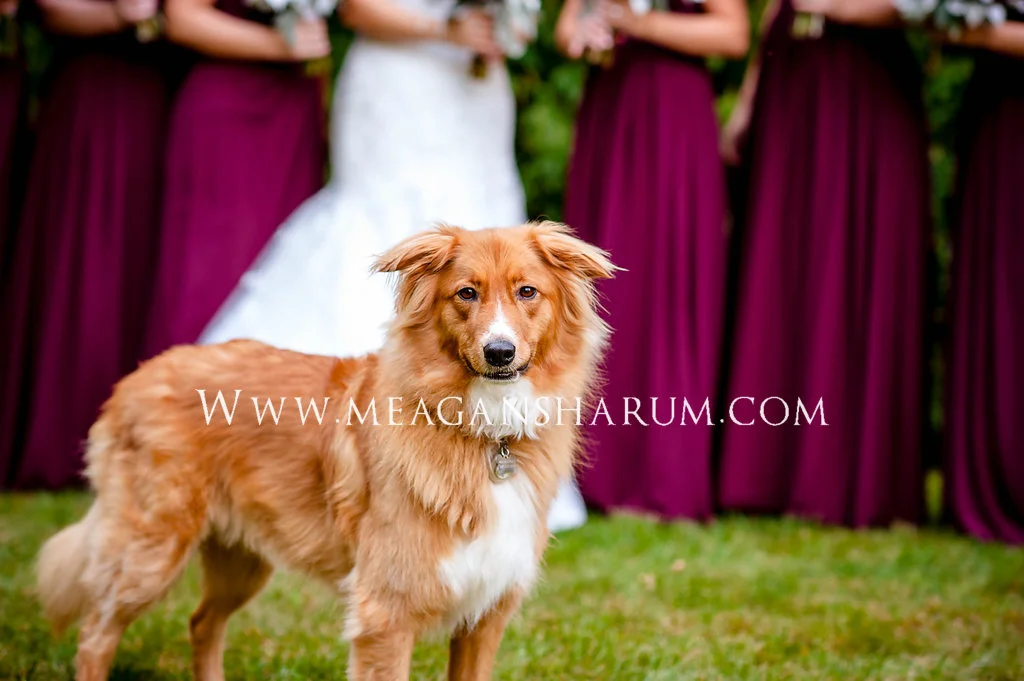 AmeliaandmarcWed-163.jpg