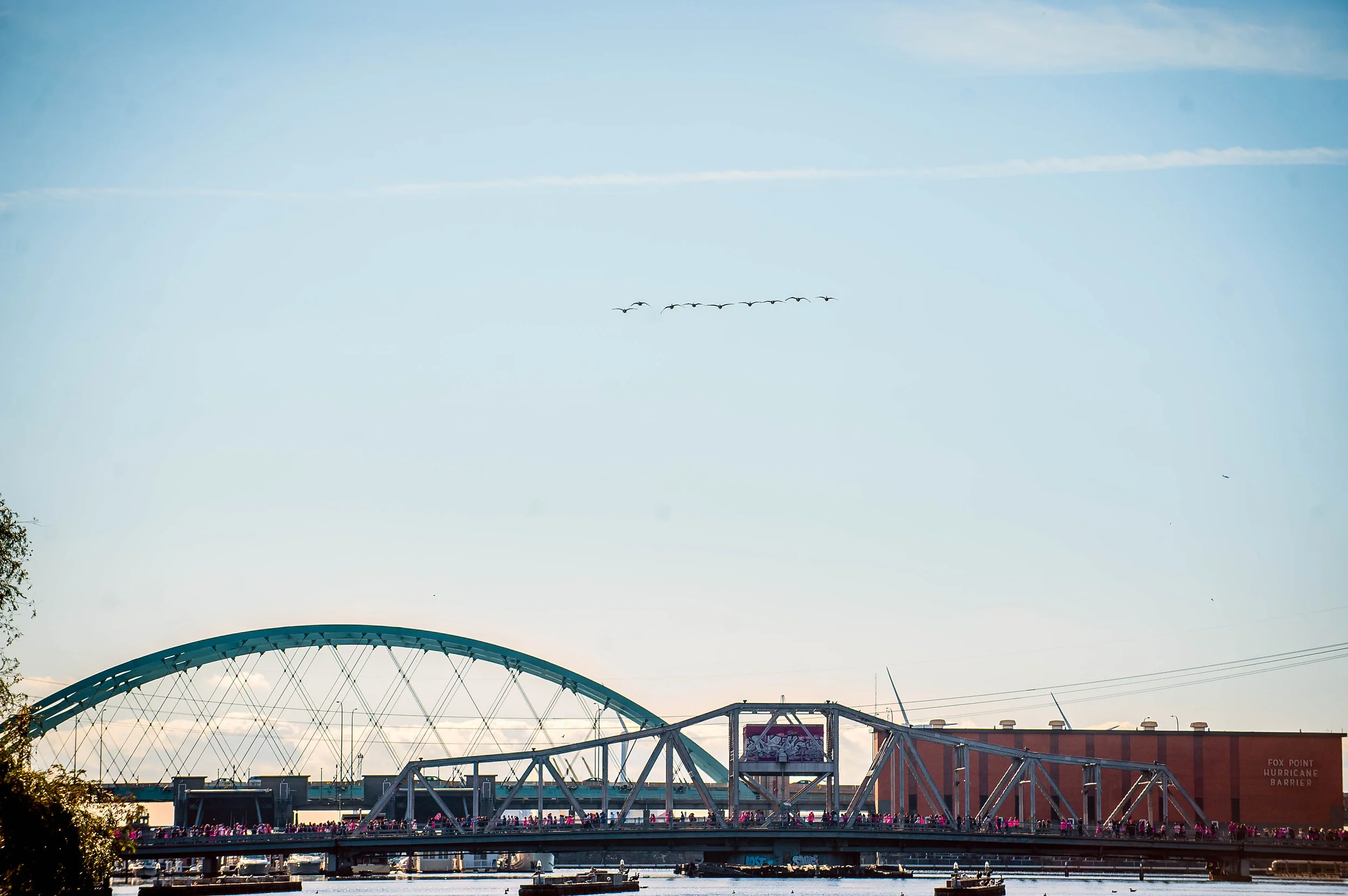Makingstrides2016-158.jpg