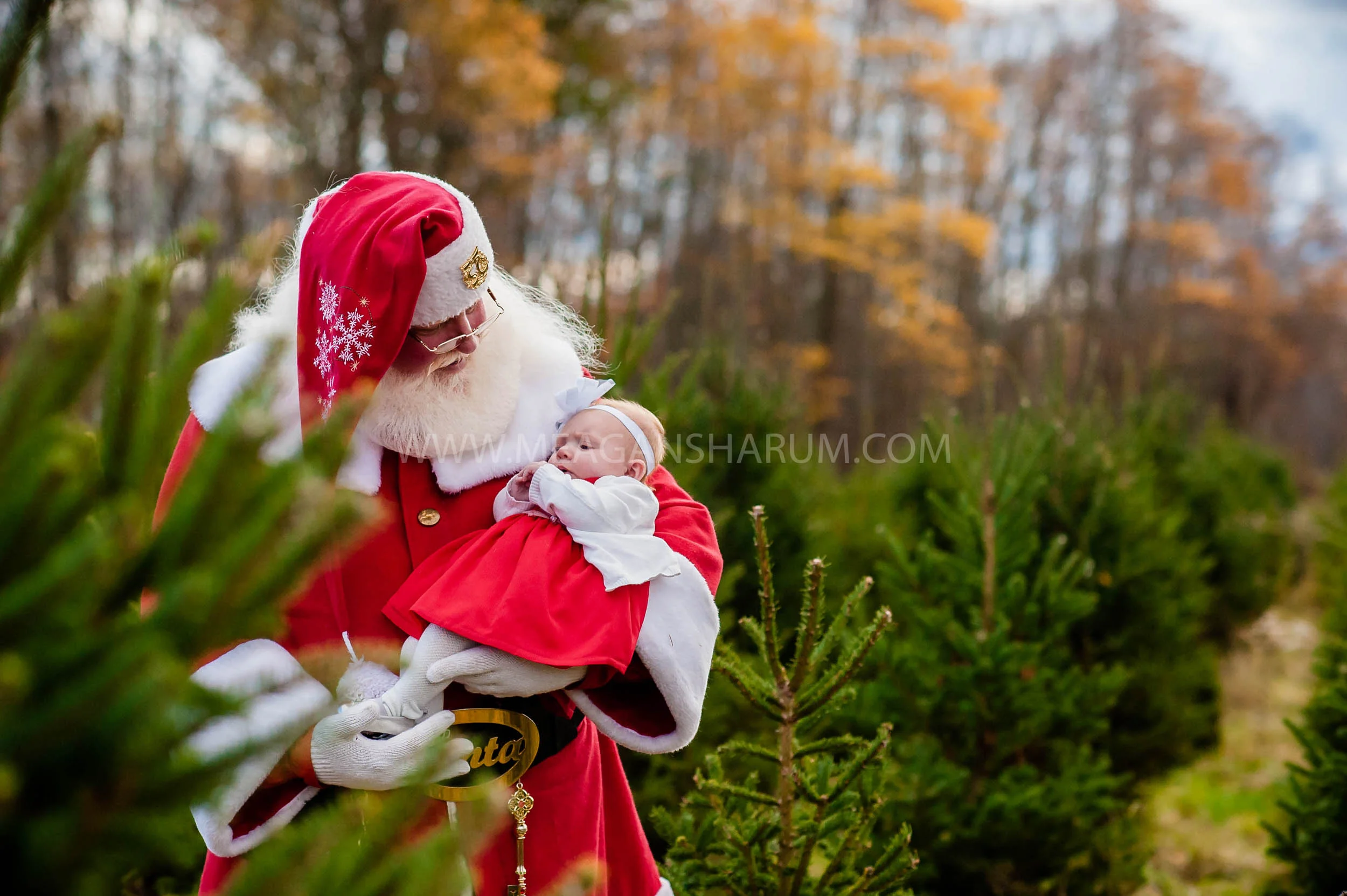 santablog-27.jpg