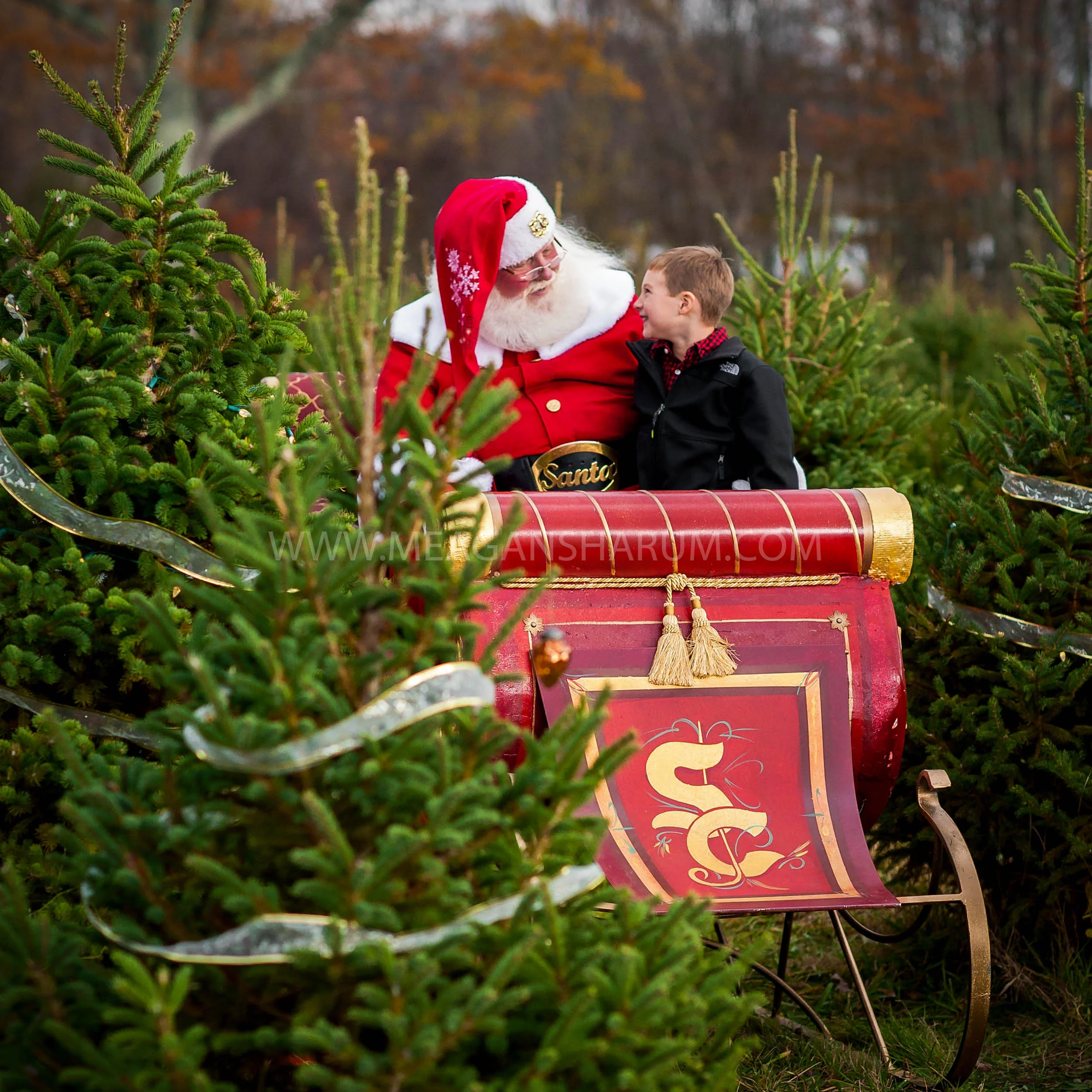 santablog.jpg