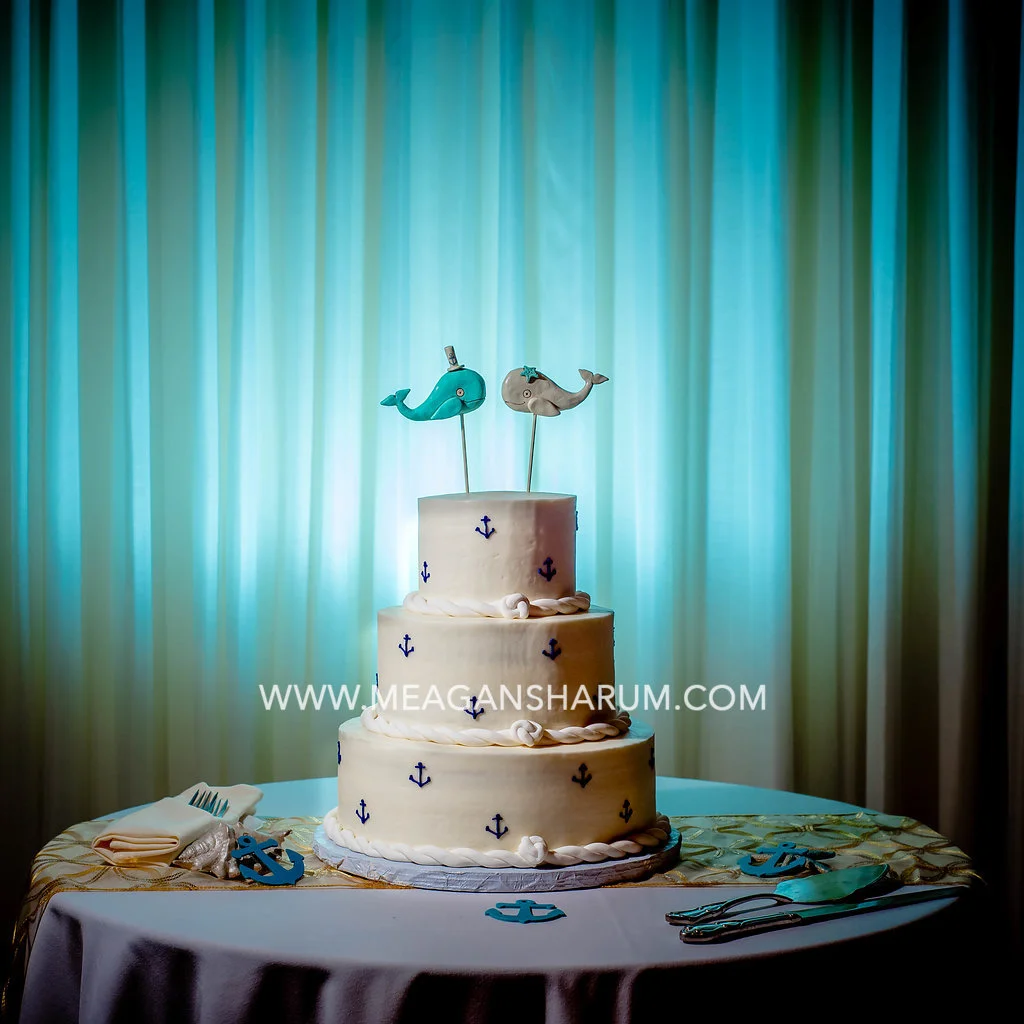 RI wedding photographer