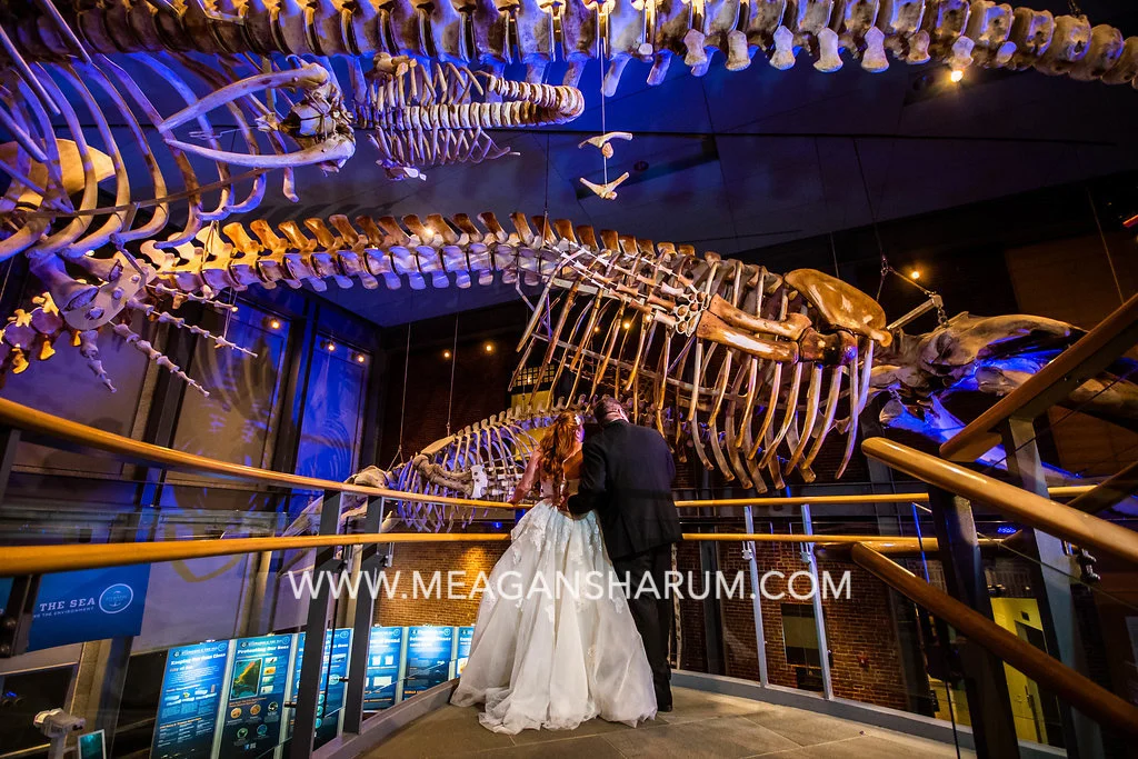 RI wedding photographer