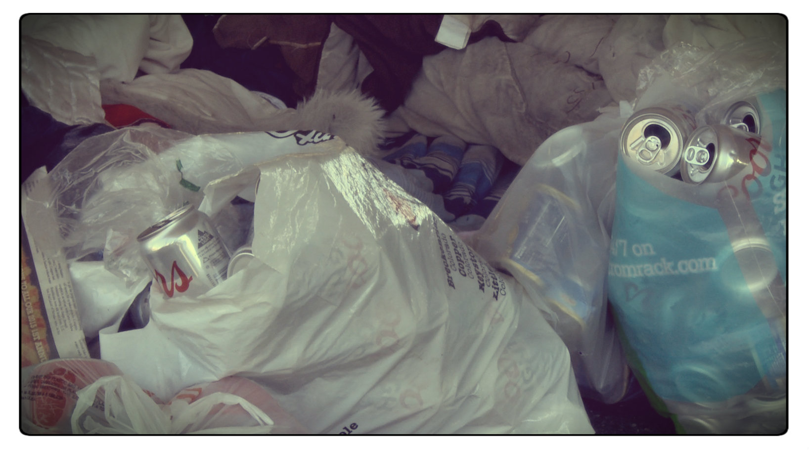 William doesn't like panhandling or dumpster diving, so he prefers canning to make some money.