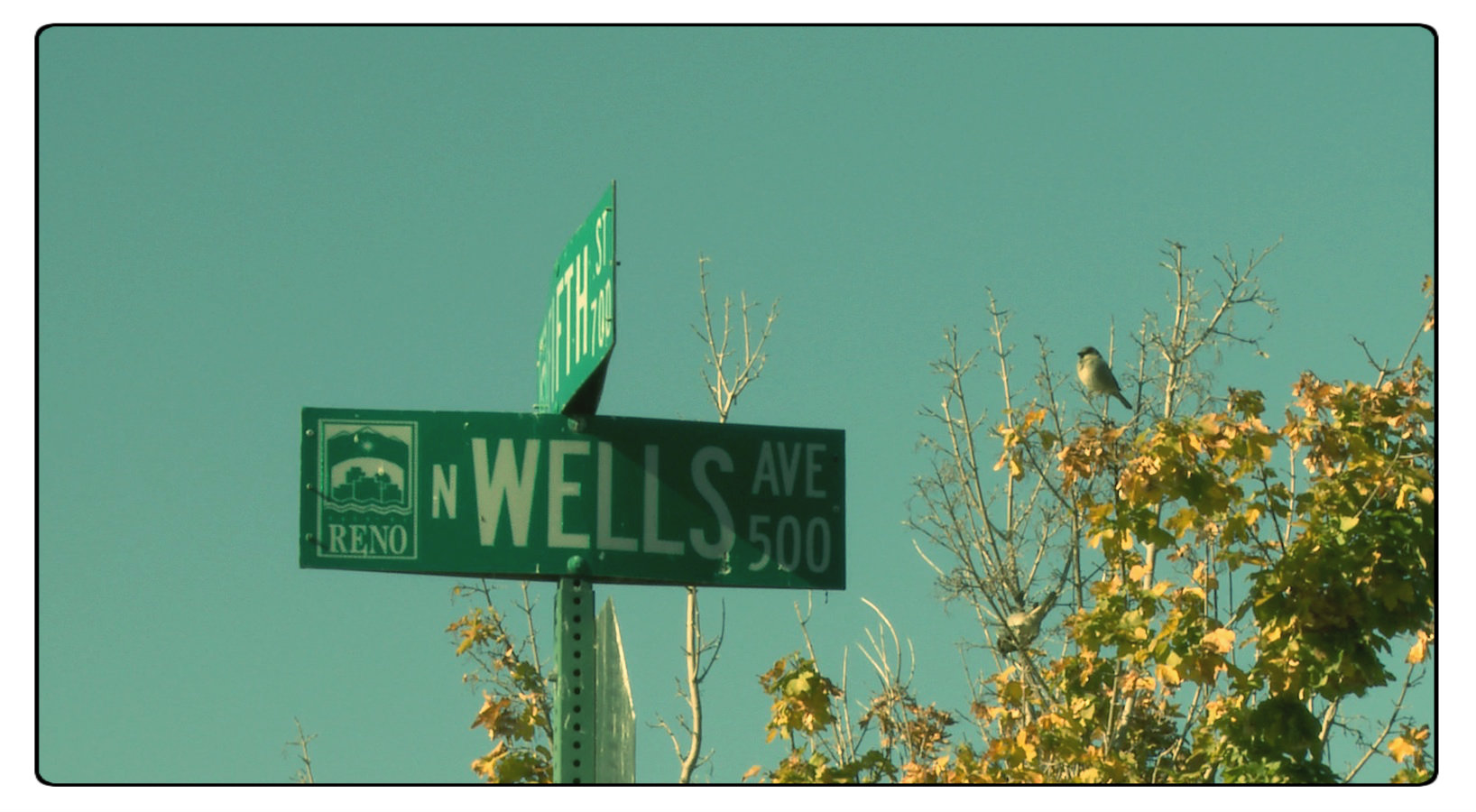 William has been living near this intersection for most of the 21st century.