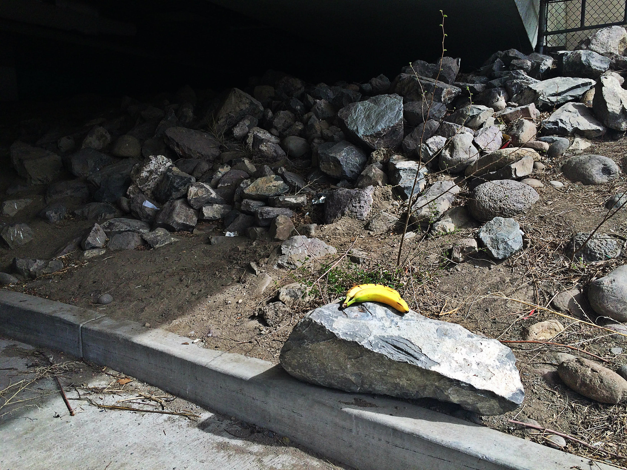An uneaten banana was left behind on this day. Generally, residents of the encampment keep their area clean. Photo by Monica Gomez
