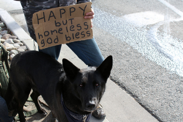 Buggs, Matt’s faithful companion, has been traveling with him for five years. Just a few days before being photographed, Buggs was bitten by a pitbull, but this didn’t stop him from going on long walks with his owners.