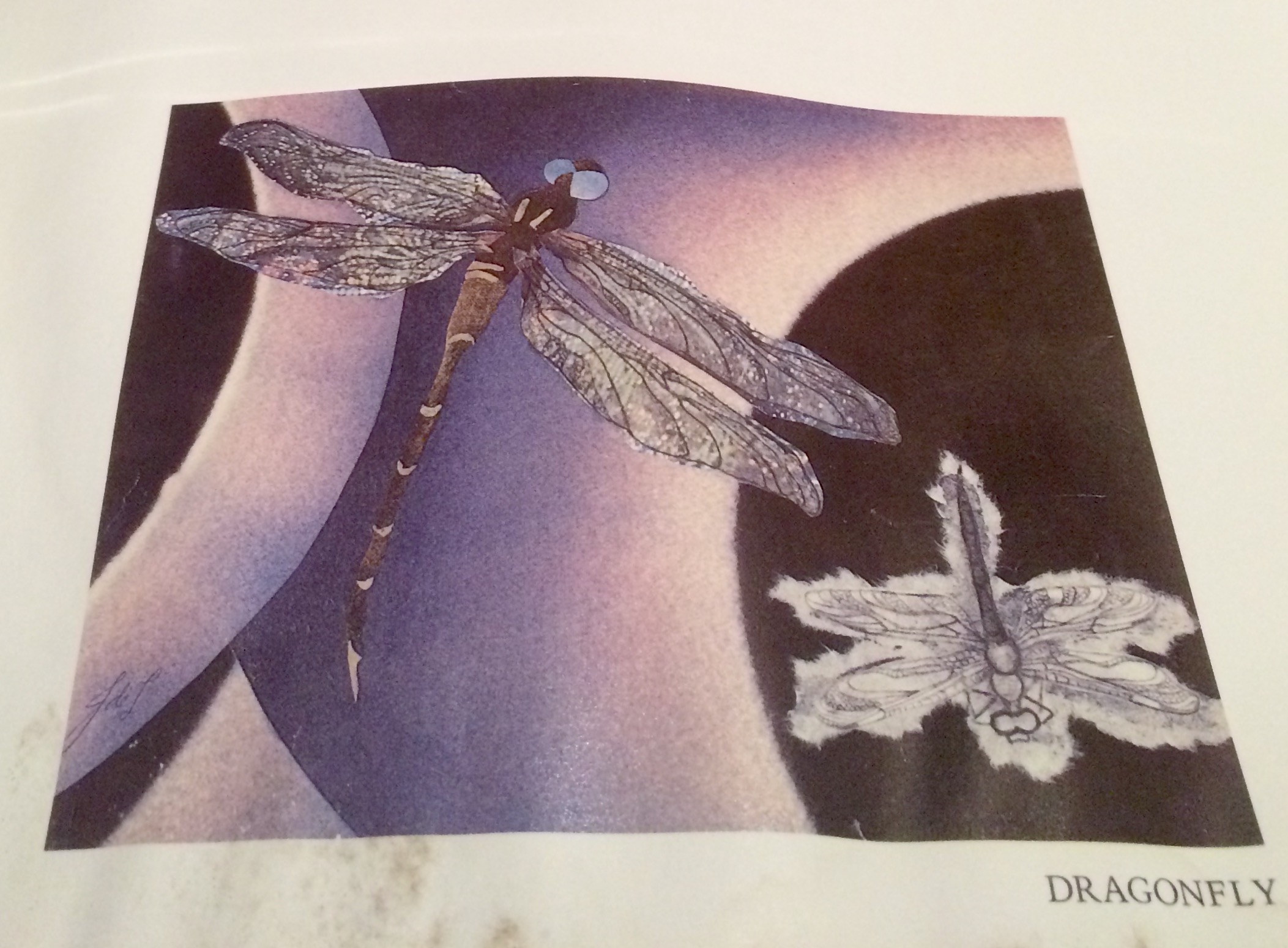 "Joanne de Longchamps, "Dragonfly," from ONE CREATURE: poems & collages, 1977.