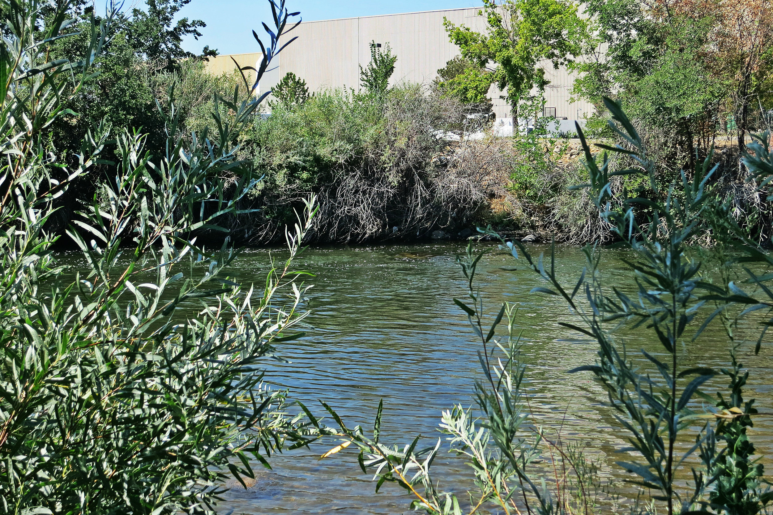 Wendy says she loves it by the river, but is uncertain how long she will be allowed to stay.