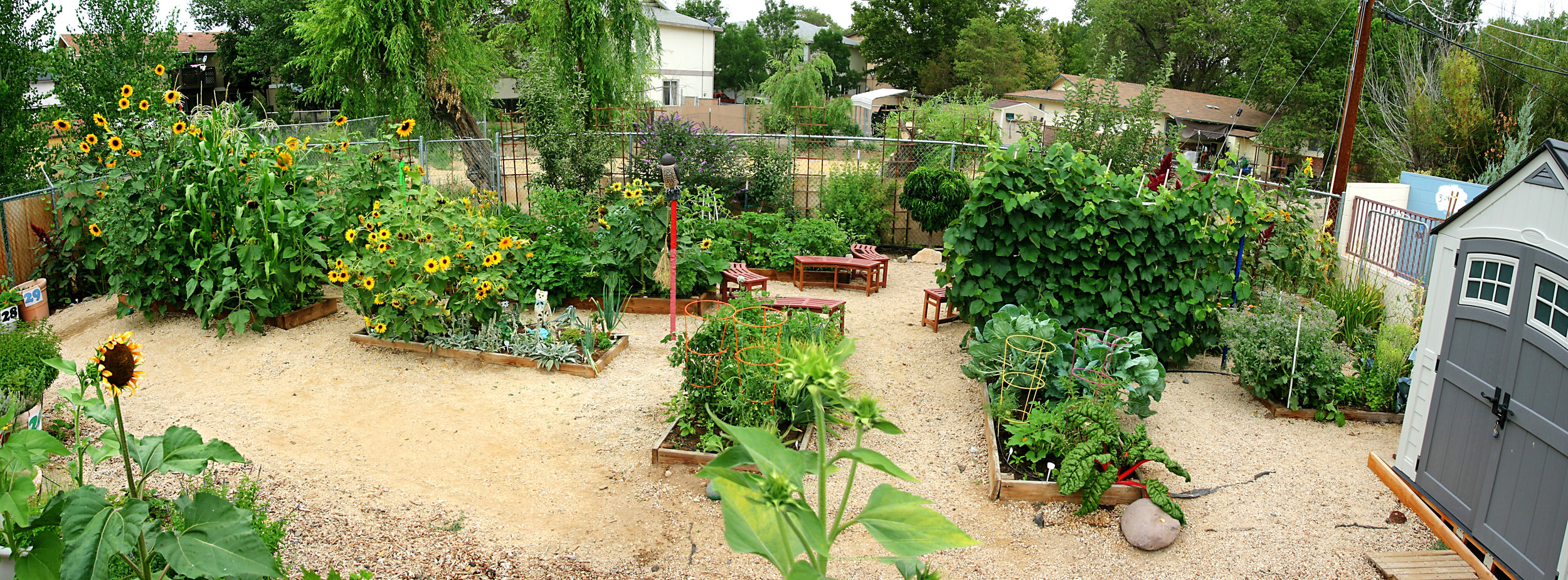 File photo of the garden at the Mariposa Academy, by Bill Kositzky.
