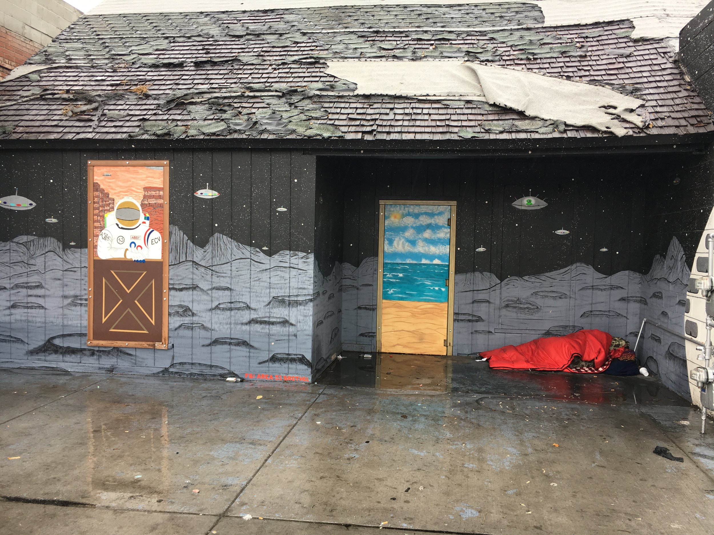 Finding shelter during the day becomes a question of life and death during cold, wet days, like here earlier this week, before the snowstorm. Photo by Jordan Gearey