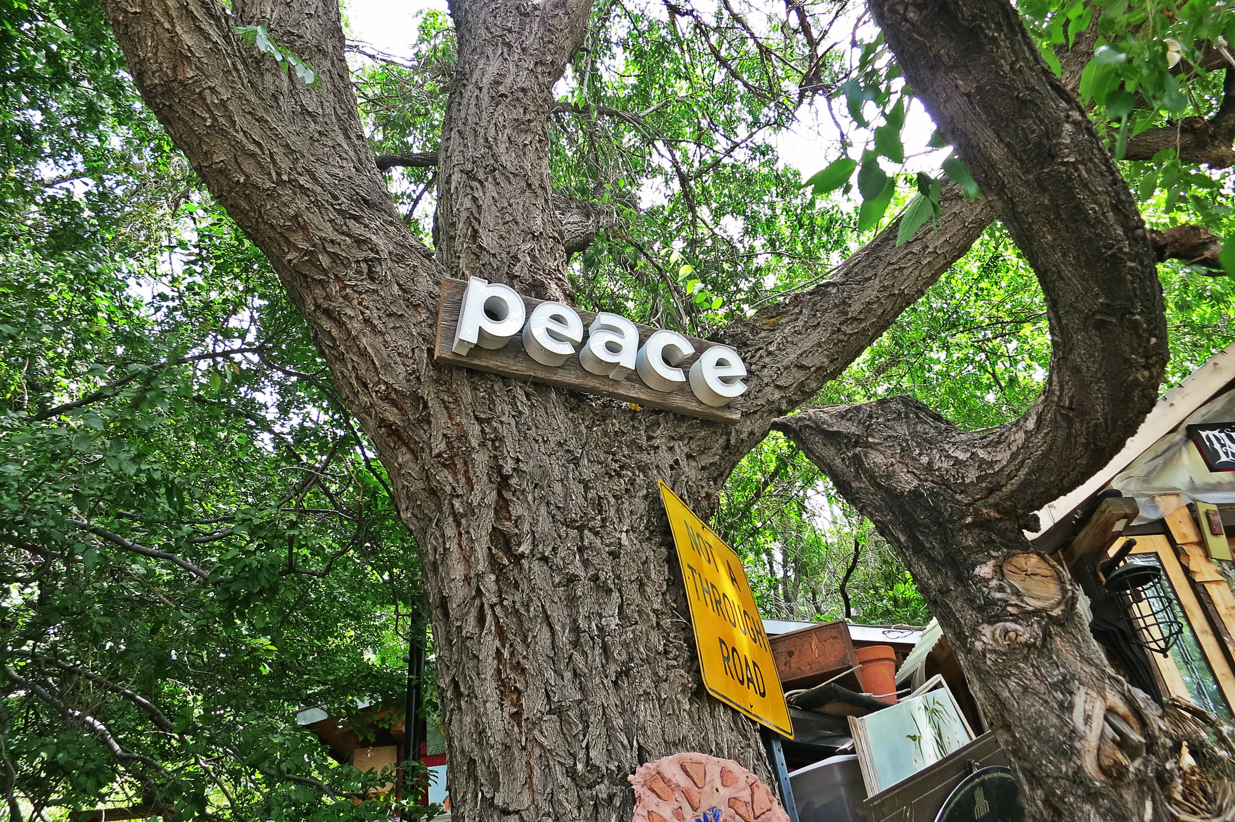 "I found these letters in a box at Habitat for Humanity, and it just so happened the letters which were left spelled peace," O'Keeffe said.