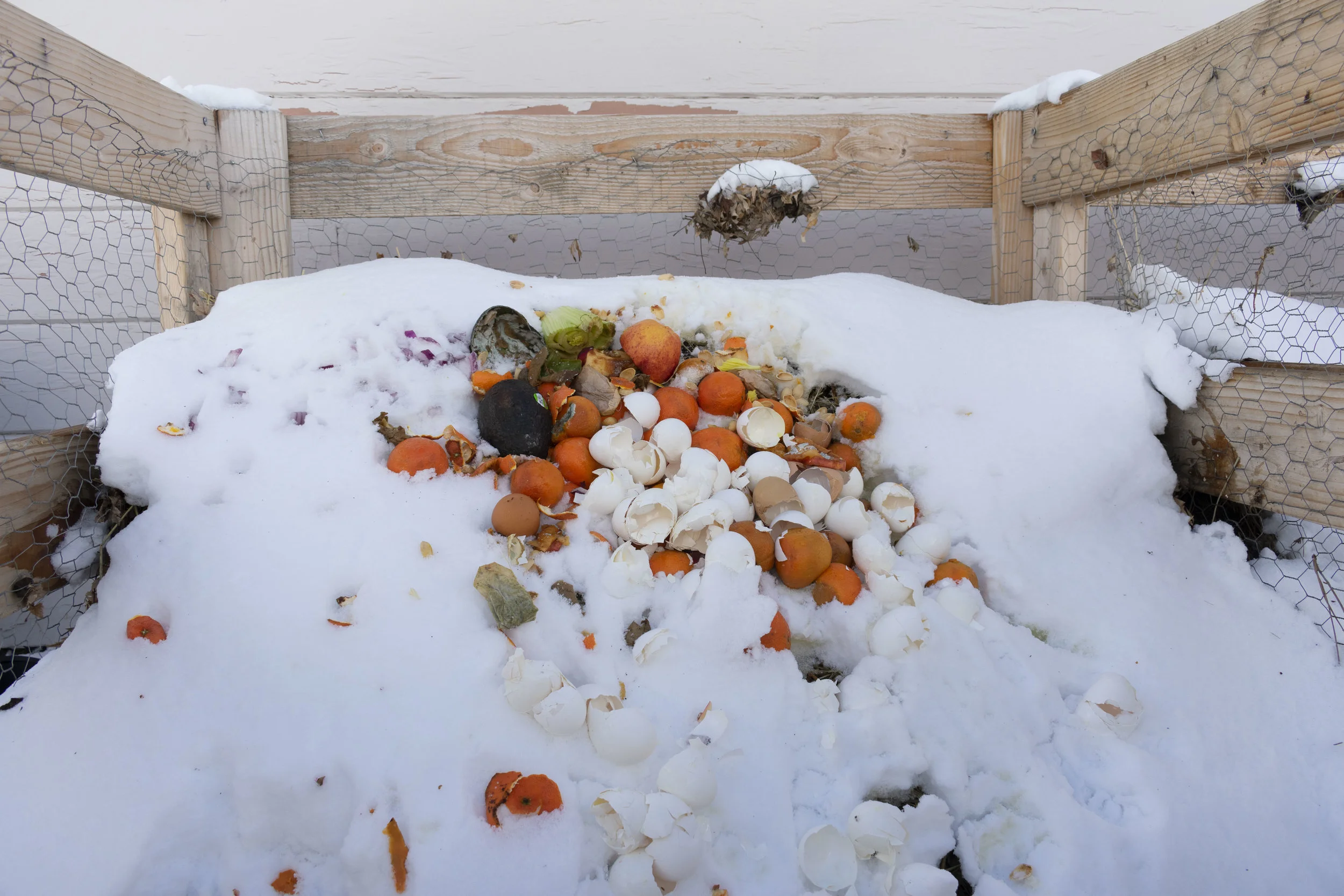 Katharina’s Gardening and Compost Program is collecting materials like egg shells and orange peels to convert to soil.