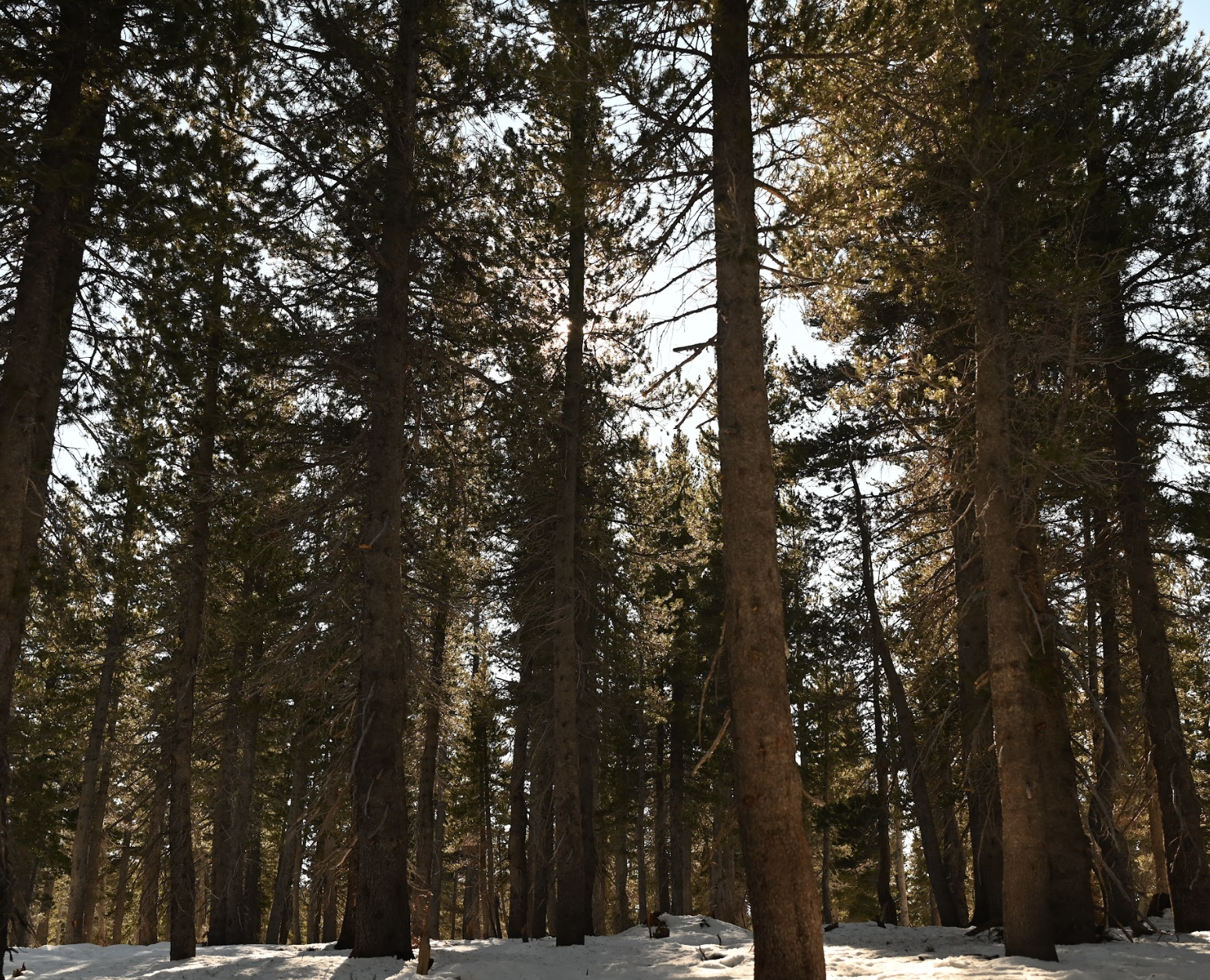 Screenshot 2025-12-11 at 1.56.01 PM.png