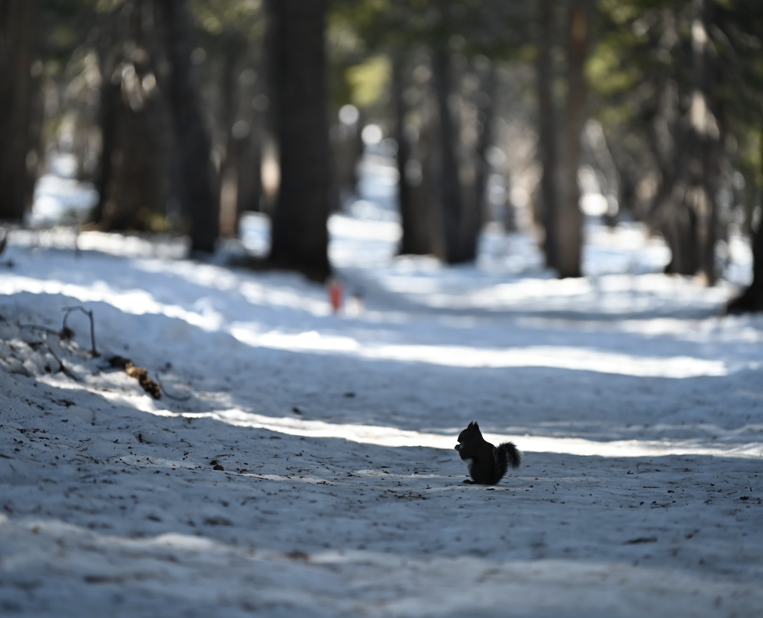 Screenshot 2025-12-11 at 1.56.10 PM.png