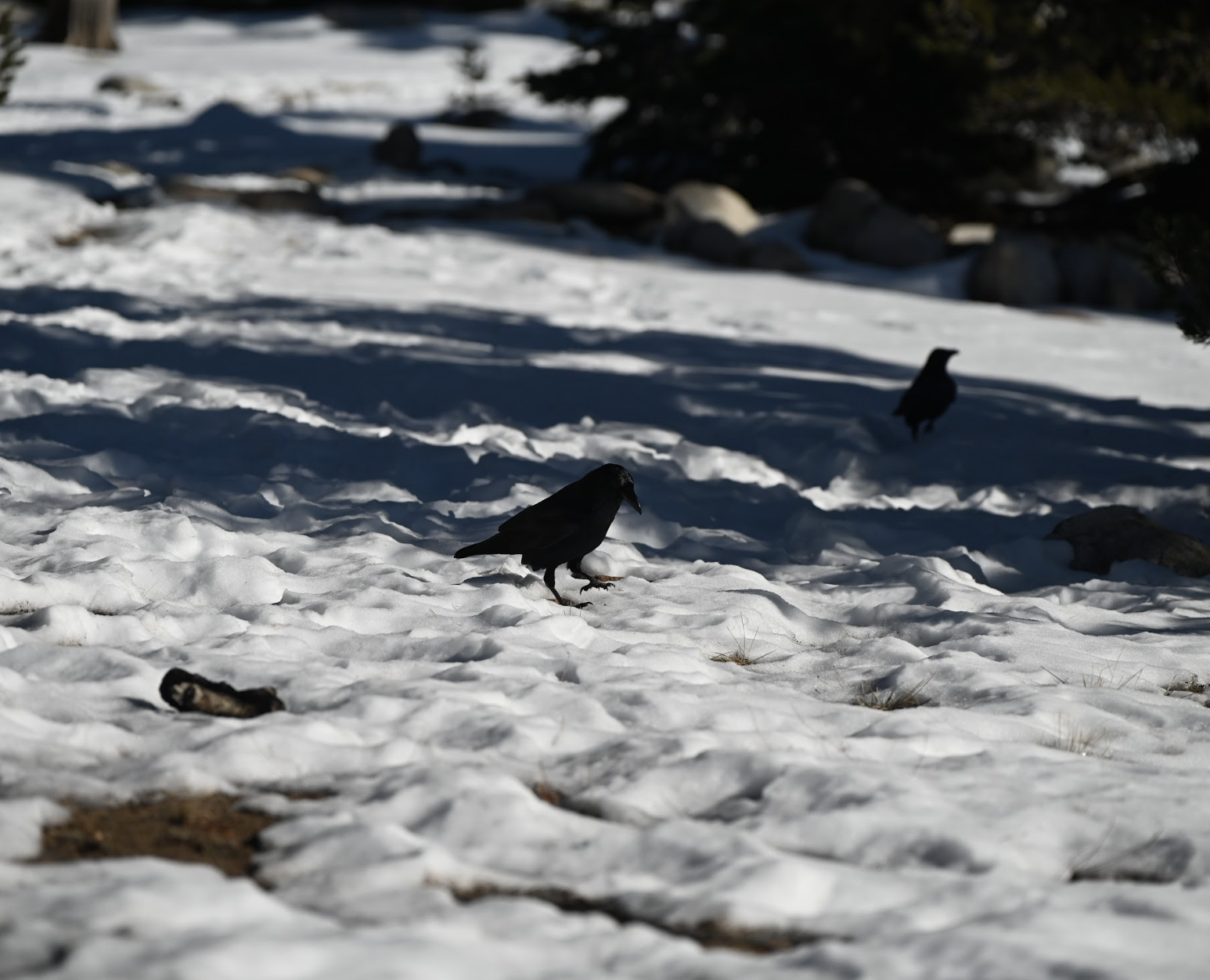 Screenshot 2025-12-11 at 1.56.22 PM.png