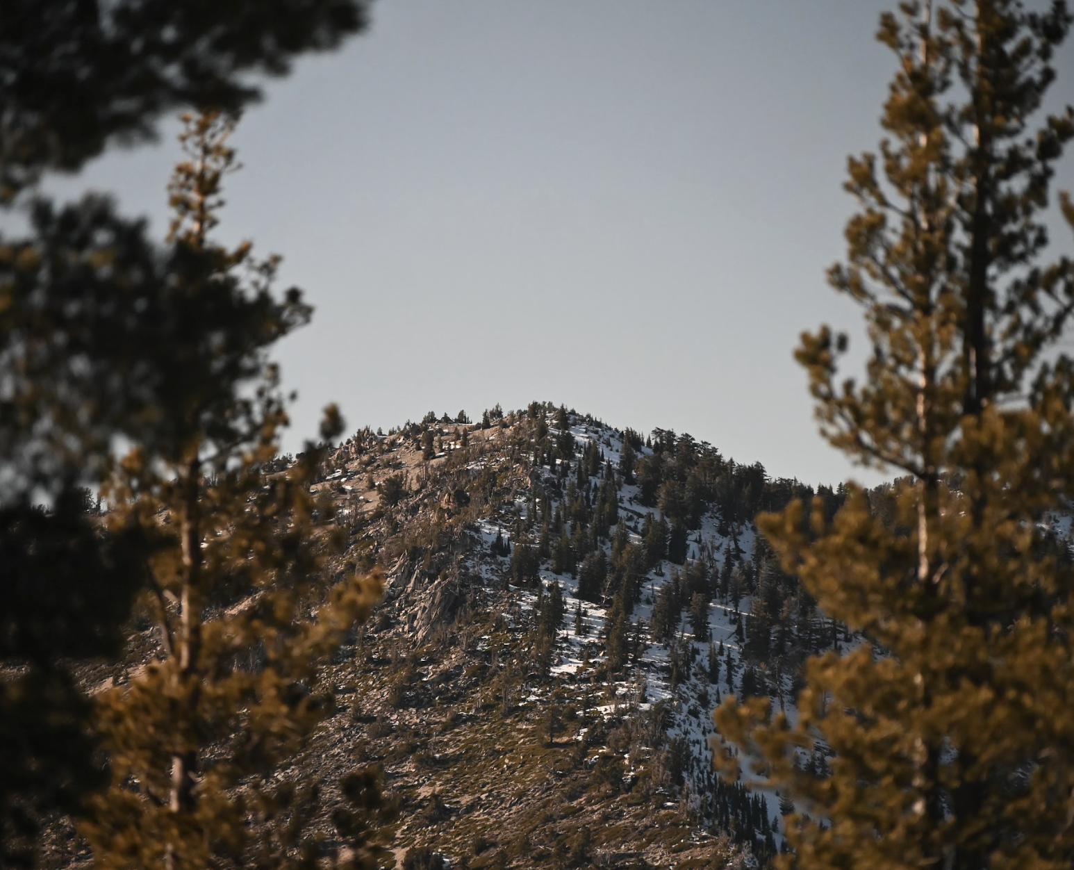 Screenshot 2025-12-11 at 1.56.37 PM.png