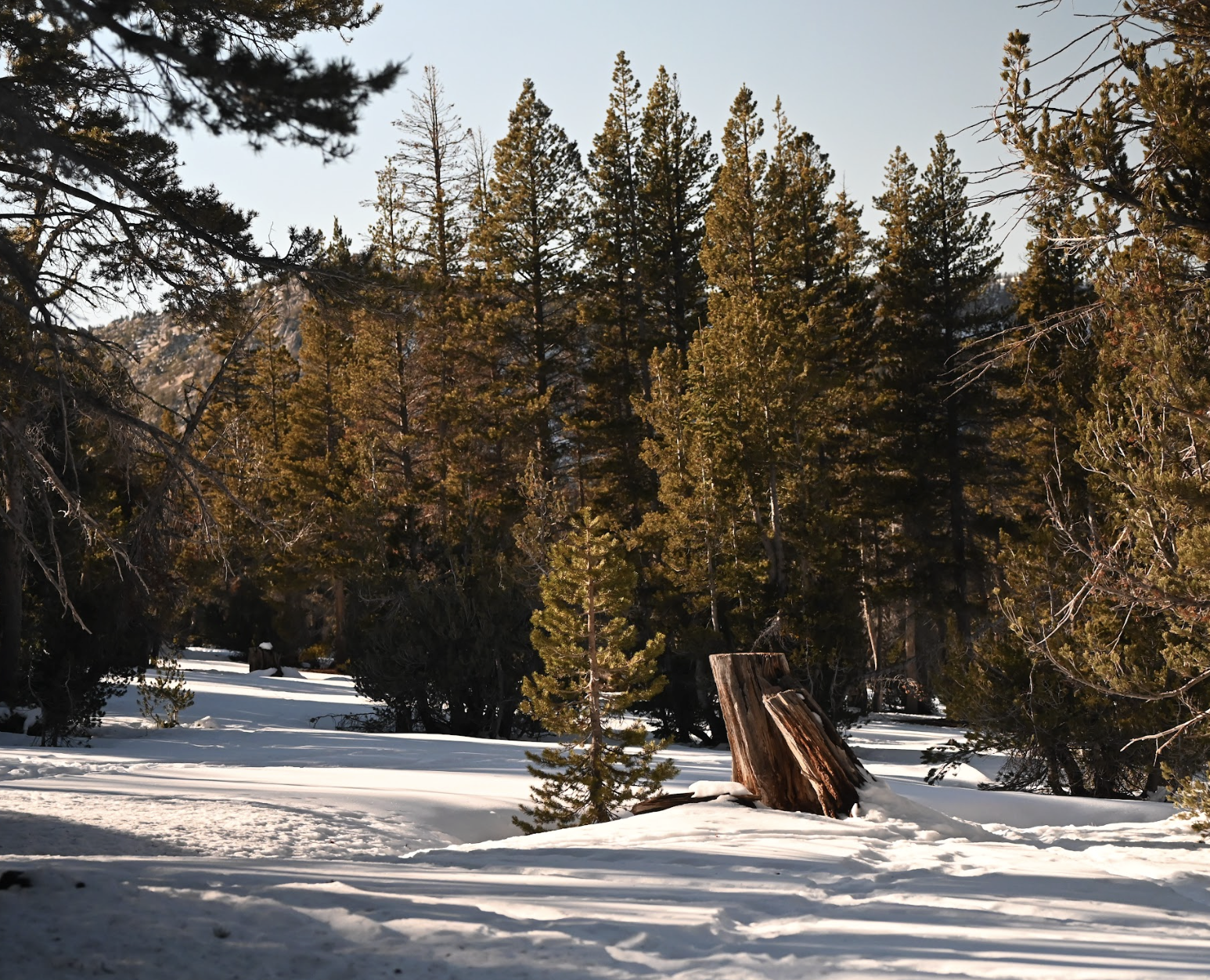 Screenshot 2025-12-11 at 1.56.43 PM.png