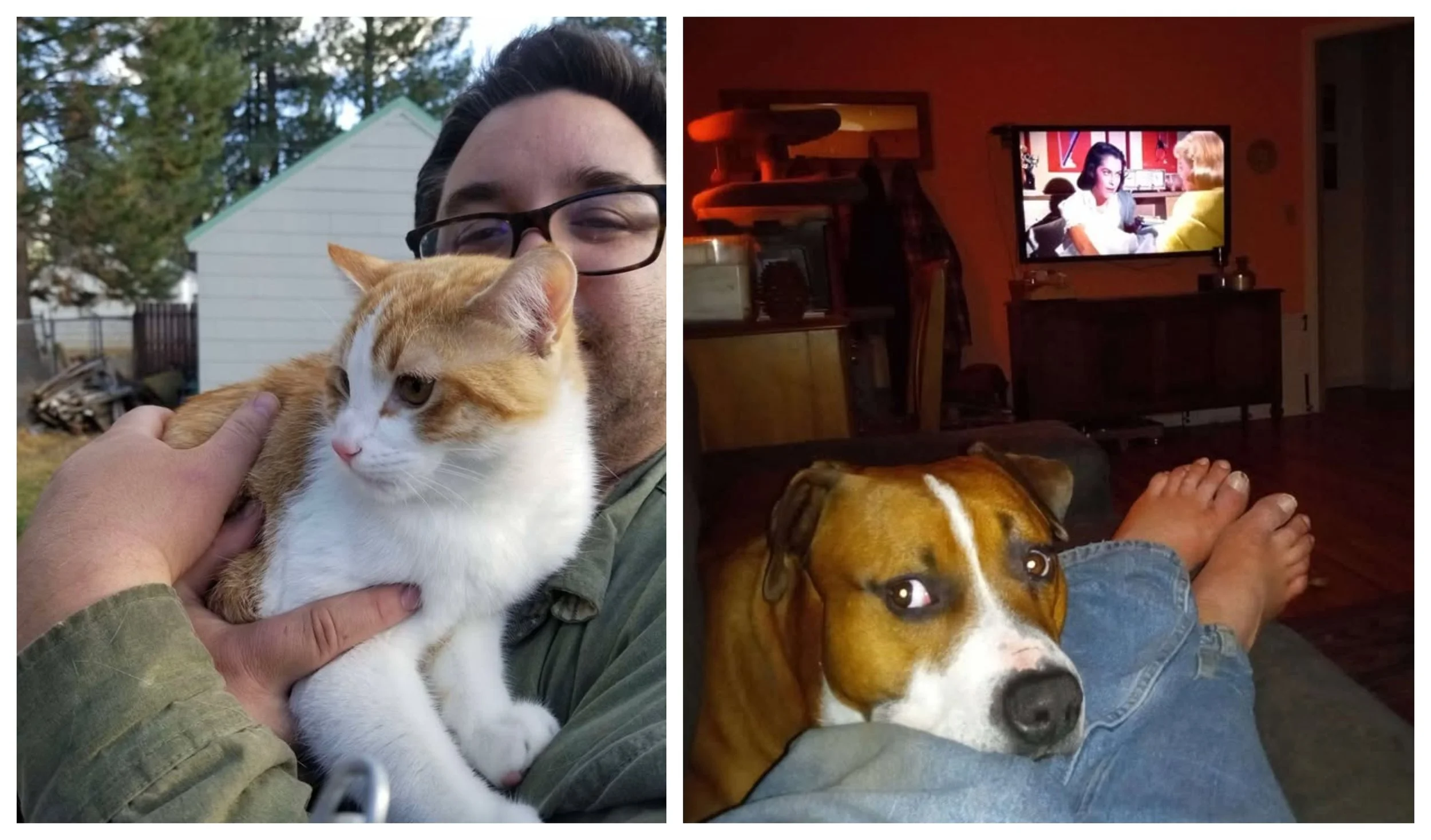 Citizen’s Forum: Local Seeks to Reunite with Pets after Being in a Coma