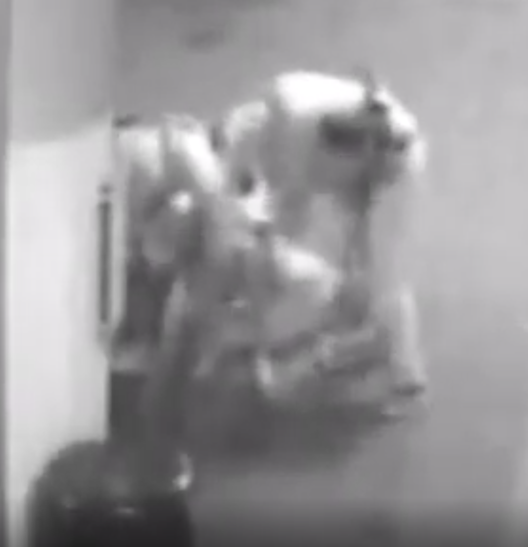 Disturbing Bodycam Footage Shows and Then Has Audio of Young Black Man in Altercation with RTC Guards 