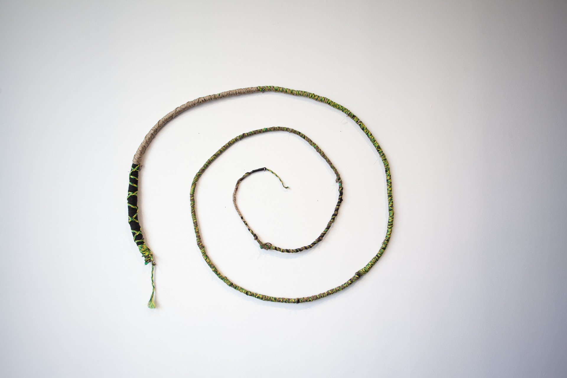 Banned Whips of the Unhoused Get Display at the Holland Project Gallery