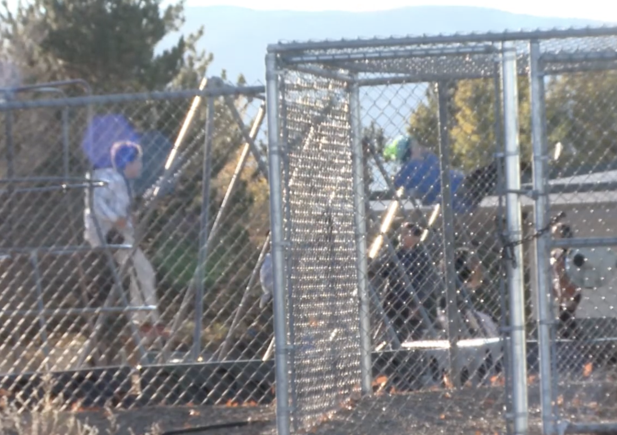 Pushback Intensifies Over Having More Swings and Recess In Washoe County Schools