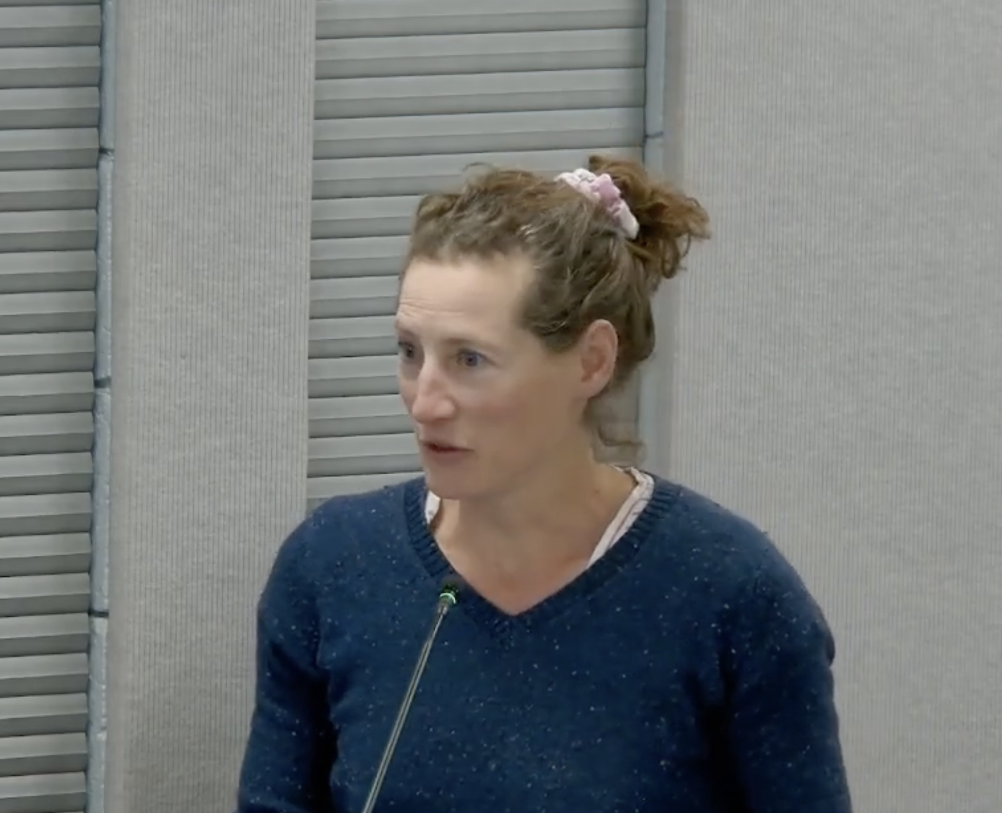 A Call for More Organic Recess and Playgrounds in Washoe County 