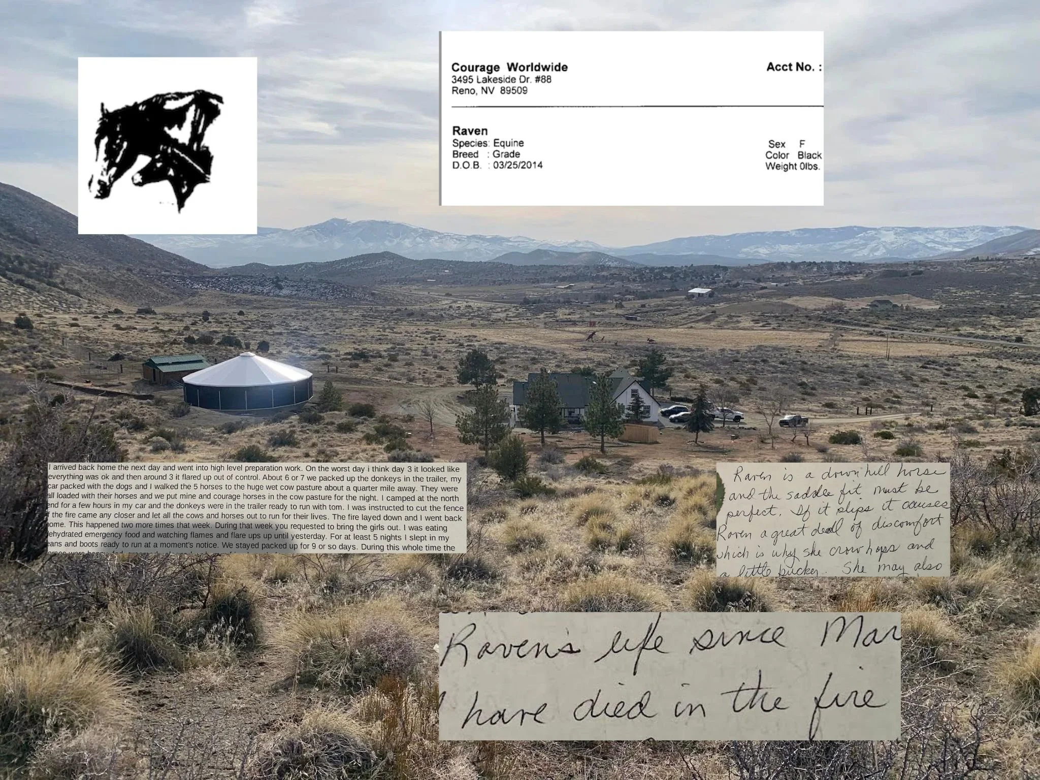 Washoe County Regional Animal Services Receives Complaint Related to Treatment of Horses at Northern Nevada’s Courage Worldwide Location 