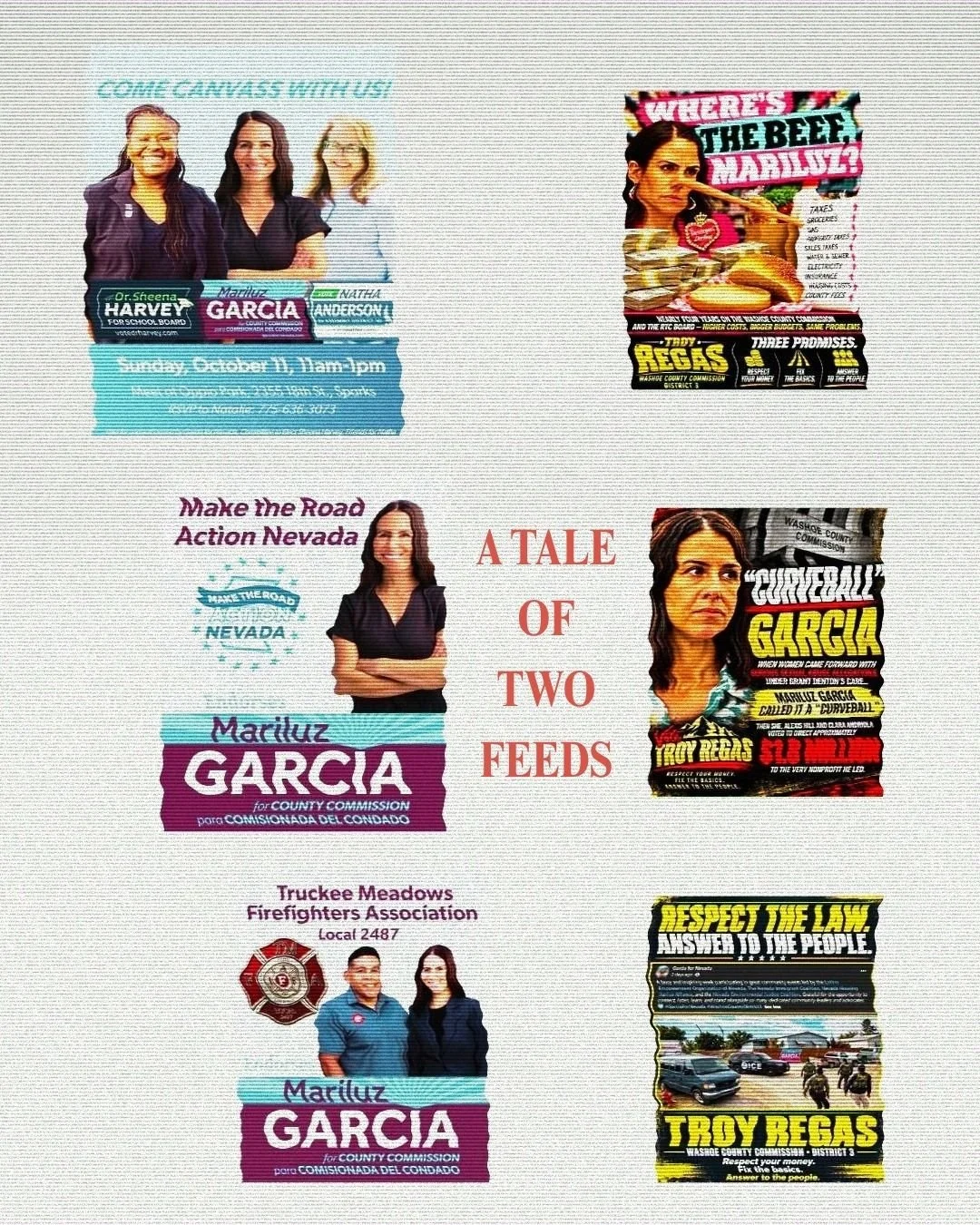 Do the Troy Regas Flyers Against Mariluz Garcia in the District 3 Washoe County Commission Race "Cross the Line"? 