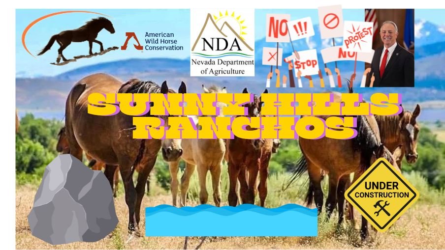 The Escalated Wild Horse Showdown due to Sunny Hills Ranchos South Reno ...