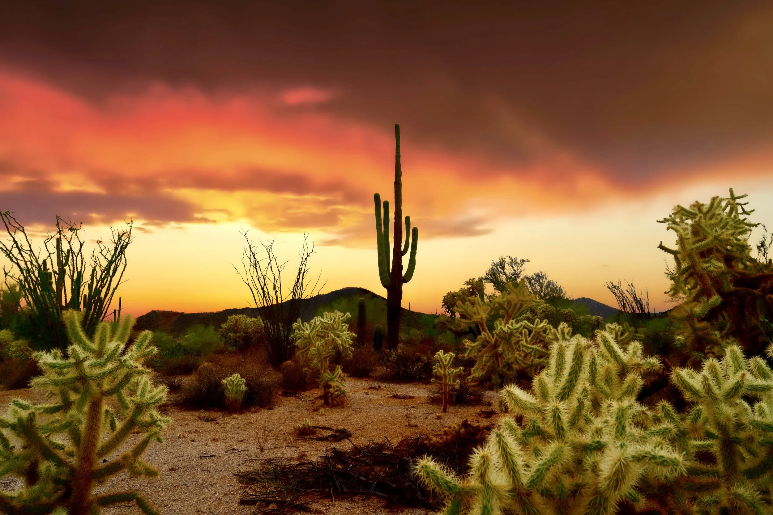 “Photo taken during monsoon season where the desert gets graced with stormy skies and incredible sunsets.”
