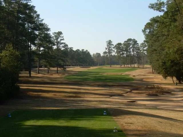 Palmetto Golf Course - Image from Golfadvisor.com
