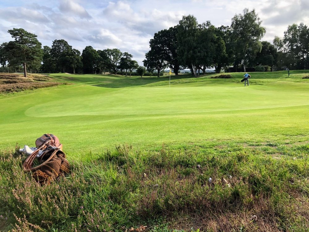 West Sussex Golf Club | Golf Course Review  UK Golf Guy