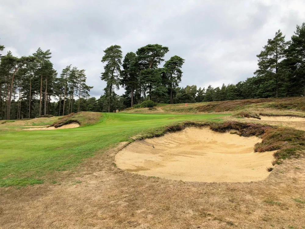 sachin and babi light blue dress Swinley Forest Golf Club (2026) | Tee Times and Reviews main image 0