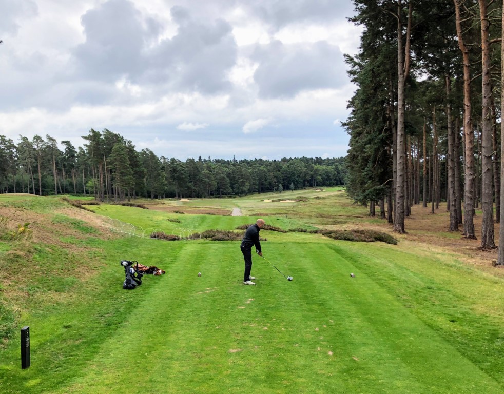 Swinley Forest (9).jpg