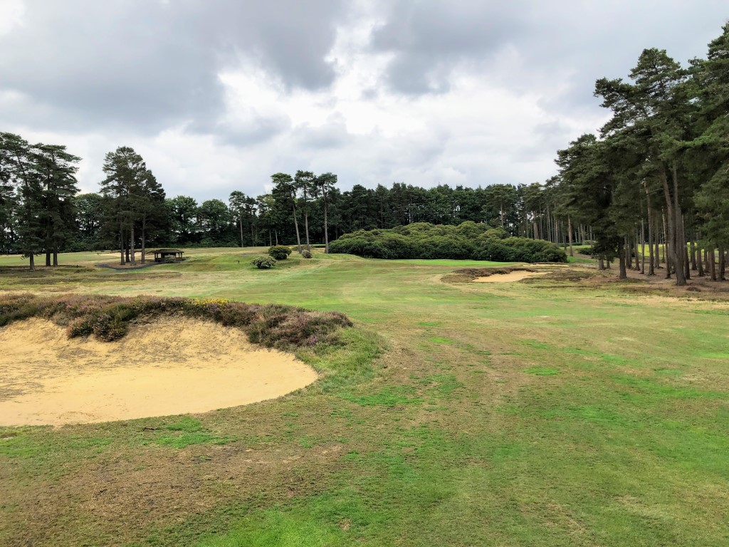 Swinley Forest (14).jpg