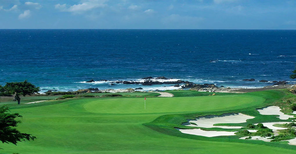MPCC.gif