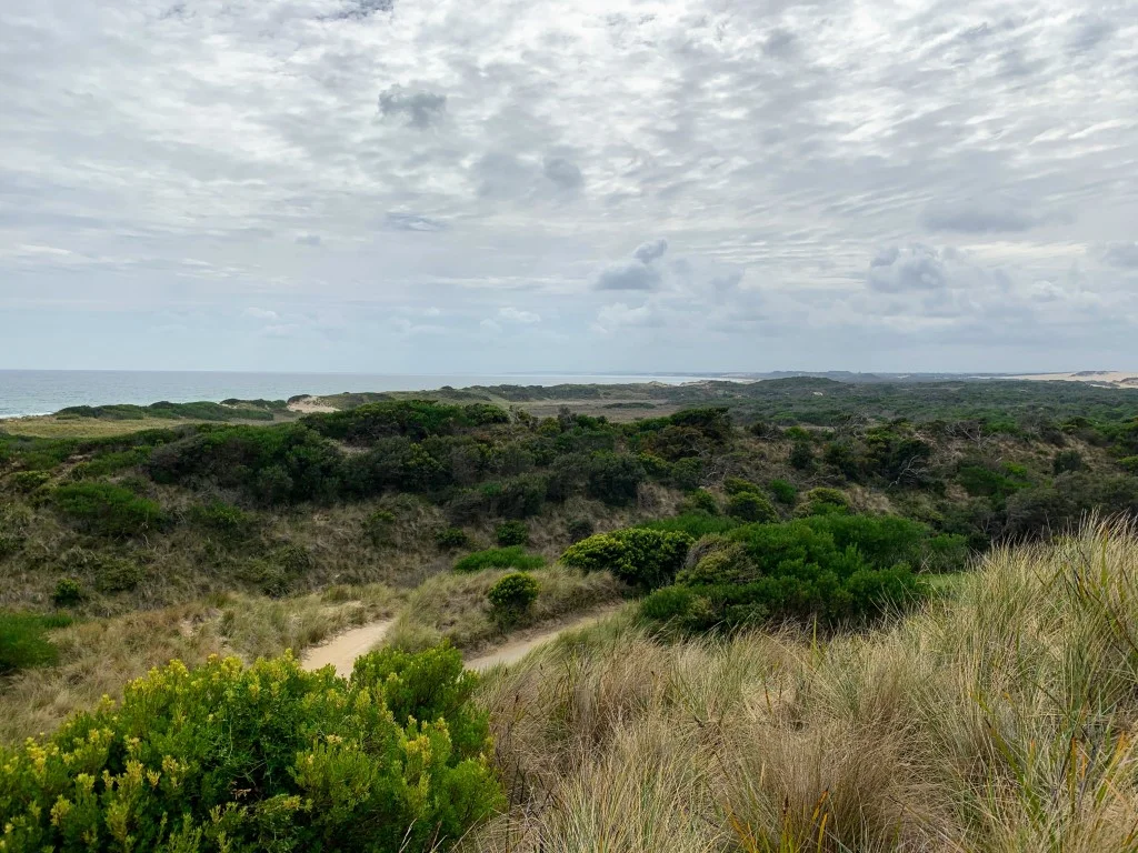 Barnbougle Lost Farm (13).jpg